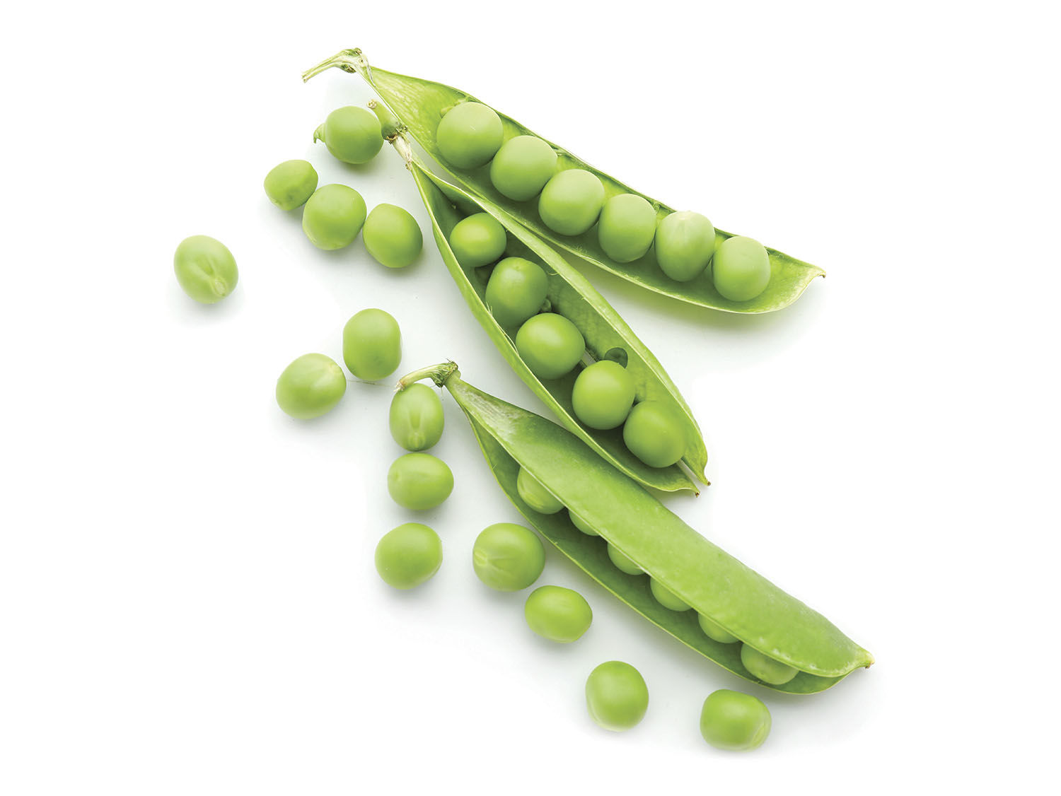 Garden Peas